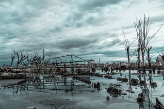 Landscape of Ruined Buildings and Bare Trees in Water under the Sky